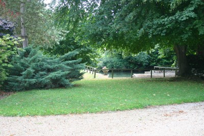 Piscine intérieure avec grandes baies vitrées donnant sur un jardin, entourée de plantes et d'une statue décorative.