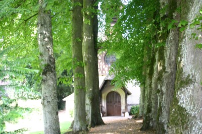 Piscine intérieure avec grandes baies vitrées donnant sur un jardin, entourée de plantes et d'une statue décorative.
