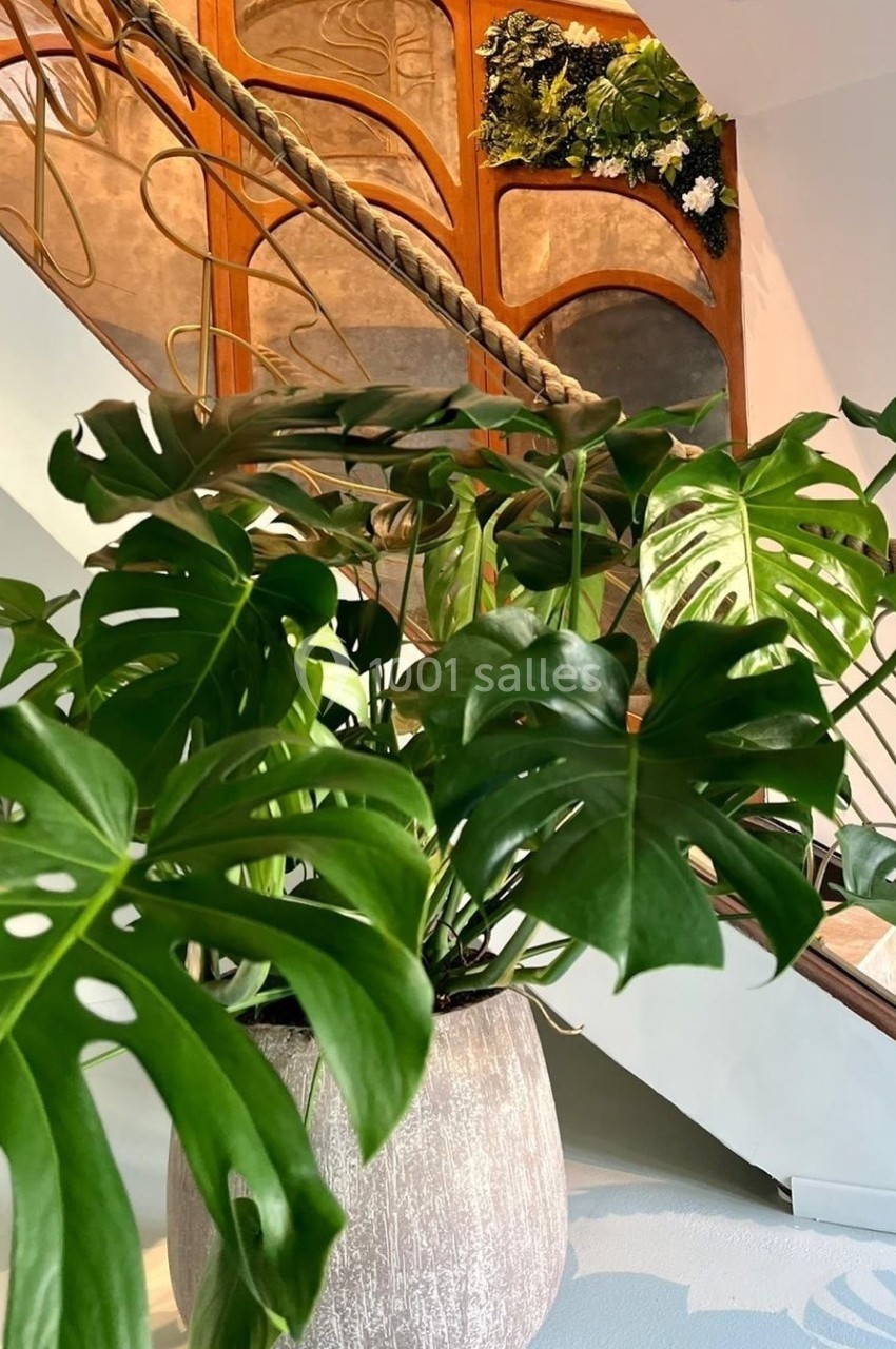 Plante verte en pot avec de larges feuilles devant un escalier en bois et une décoration murale végétale.