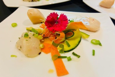 Vue aérienne d'une campagne verdoyante avec des champs, des arbres, une rivière et des habitations au loin.