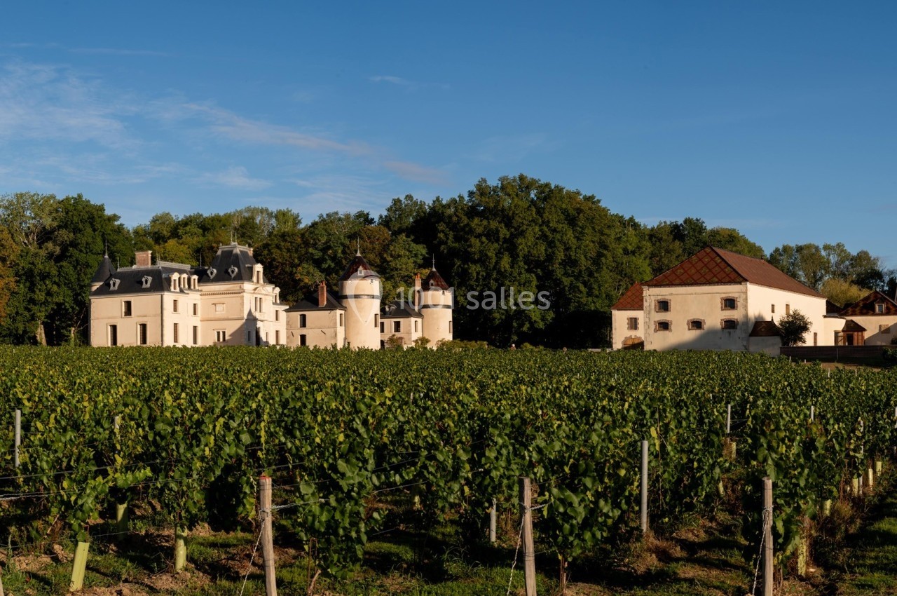 Vignoble avec un château blanc entouré de bâtiments annexes, bordé d'arbres sous un ciel dégagé.