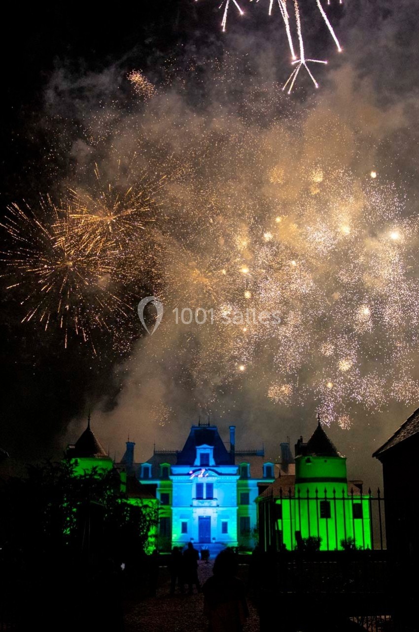 Feu d'artifice illuminant un château éclairé en bleu et vert, avec des spectateurs en contrebas.