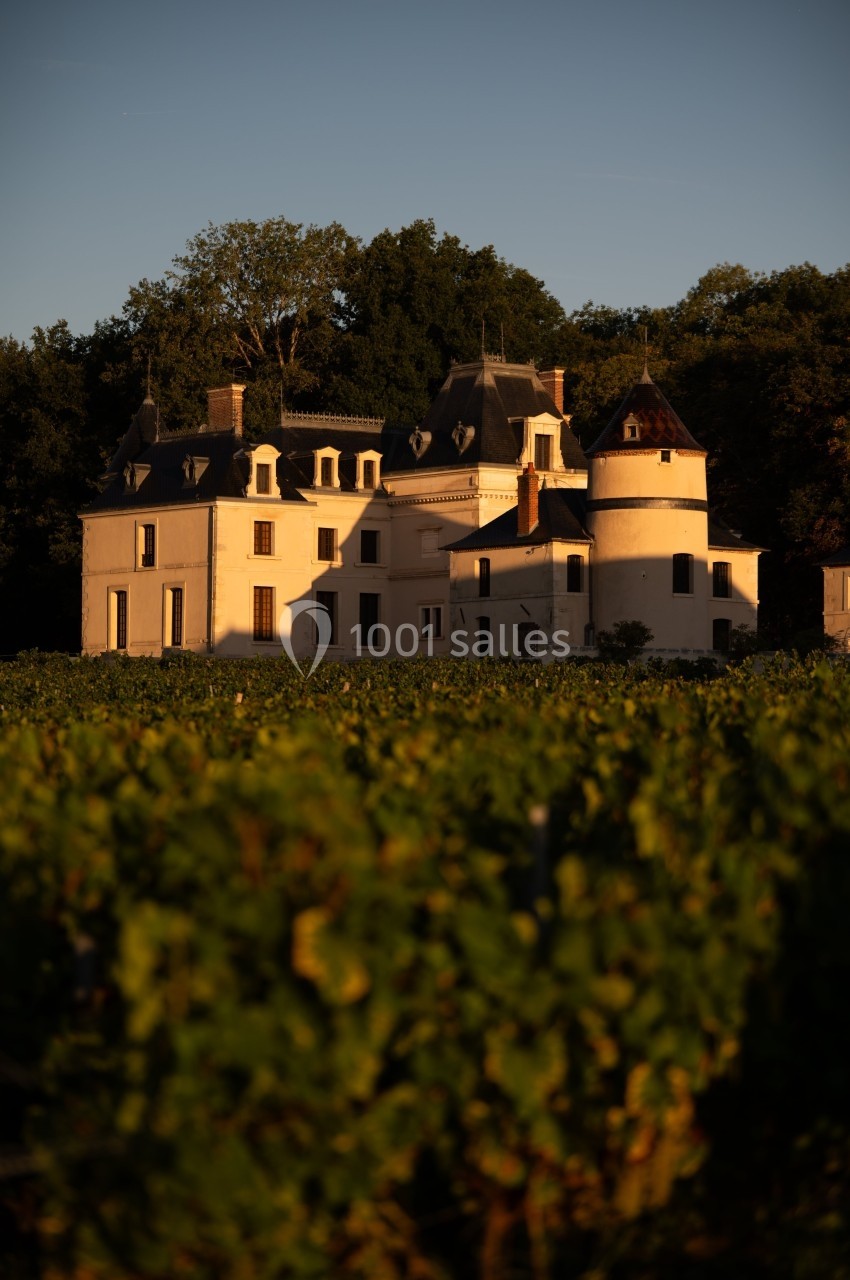 Château entouré de vignes au coucher du soleil, avec une forêt en arrière-plan.