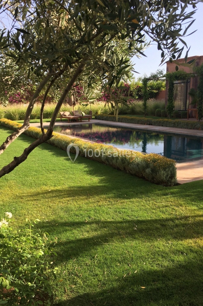 Jardin avec pelouse bien entretenue, piscine rectangulaire entourée de haies basses et arbres sous un ciel dégagé.