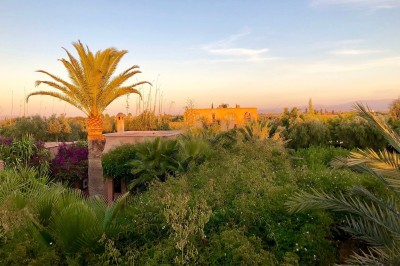 Miniature Location salle Marrakech (Province de Marrakech) - The Source #10 Reflet d'arbres et d'un bâtiment dans un bassin calme sous un ciel bleu dégagé.