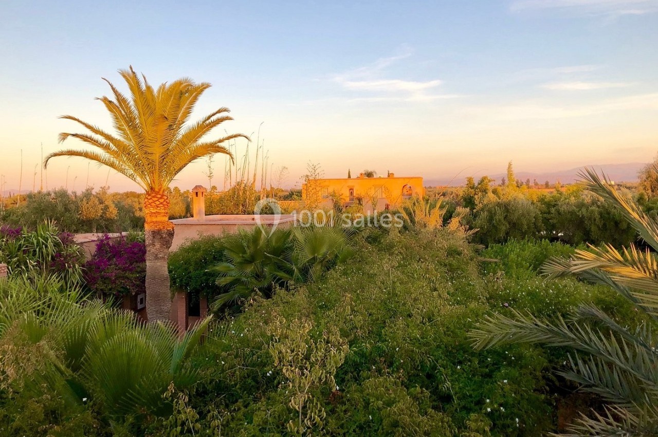 Vue d'un jardin luxuriant au coucher du soleil avec des palmiers et des bâtiments en arrière-plan.