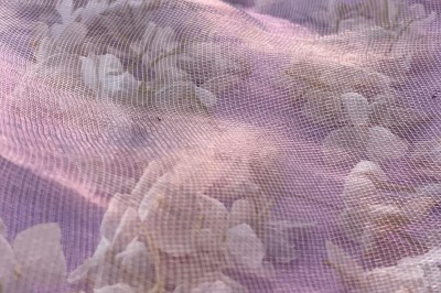 Miniature Location salle Marrakech (Province de Marrakech) - The Source #12 Reflet d'arbres et d'un bâtiment dans un bassin calme sous un ciel bleu dégagé.