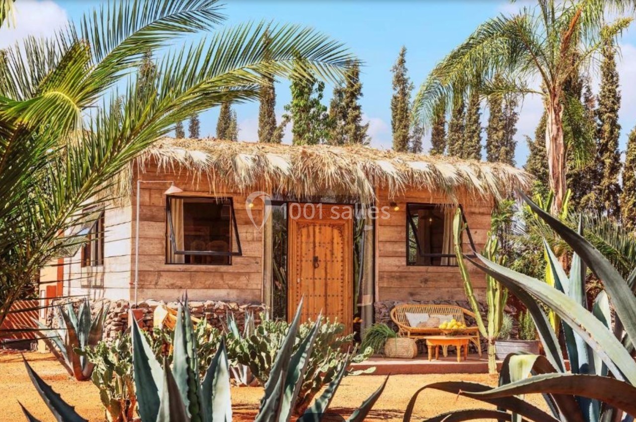 Petite maison en bois avec toit en chaume, entourée de plantes exotiques et de cactus sous un ciel dégagé.