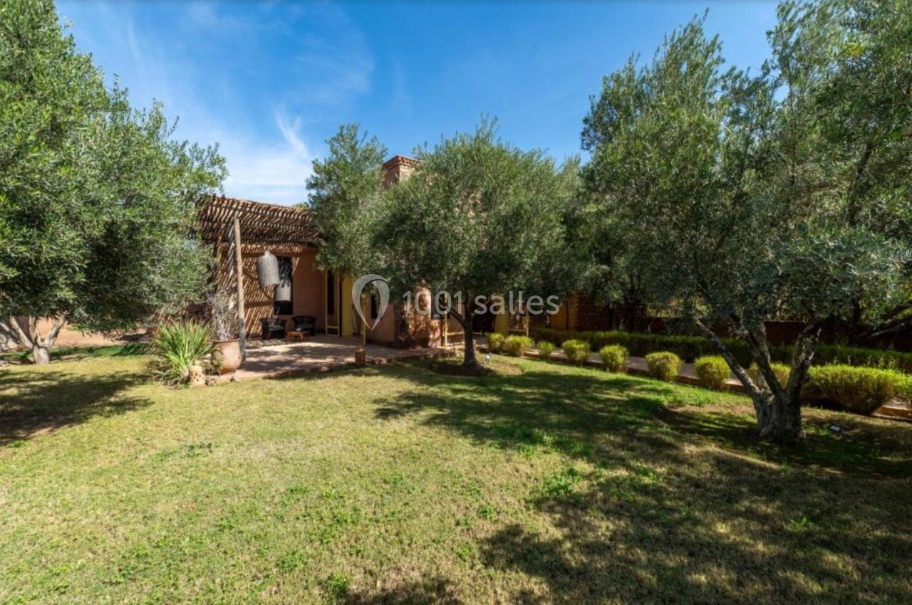 Jardin verdoyant avec des oliviers, une pelouse entretenue et une maison en arrière-plan partiellement ombragée.