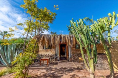 Miniature Location salle Marrakech (Province de Marrakech) - The Source #57 Reflet d'arbres et d'un bâtiment dans un bassin calme sous un ciel bleu dégagé.