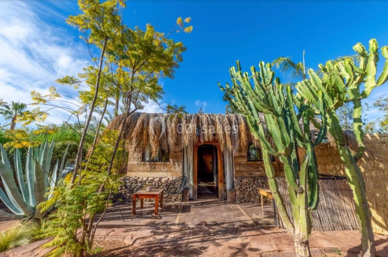Maison en pierre avec toit en chaume entourée de cactus et d'arbres sous un ciel bleu clair.