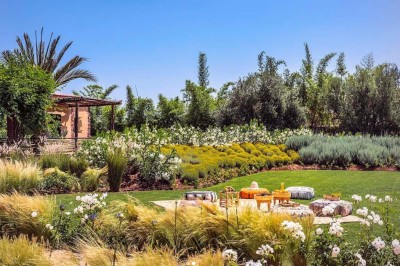 Miniature Location salle Marrakech (Province de Marrakech) - The Source #106 Reflet d'arbres et d'un bâtiment dans un bassin calme sous un ciel bleu dégagé.