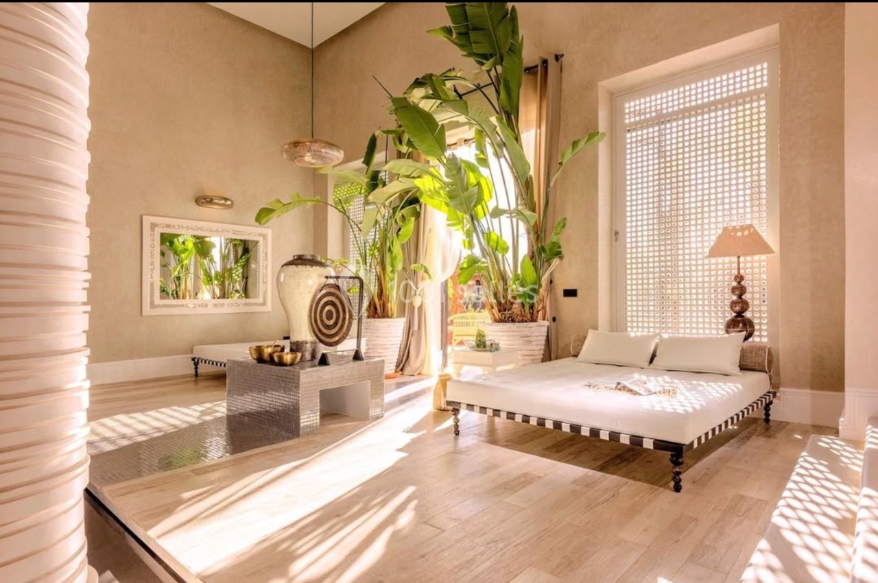 Salon lumineux avec grande plante verte, lit de repos, miroir mural, et lumière naturelle entrant par une fenêtre ajourée.