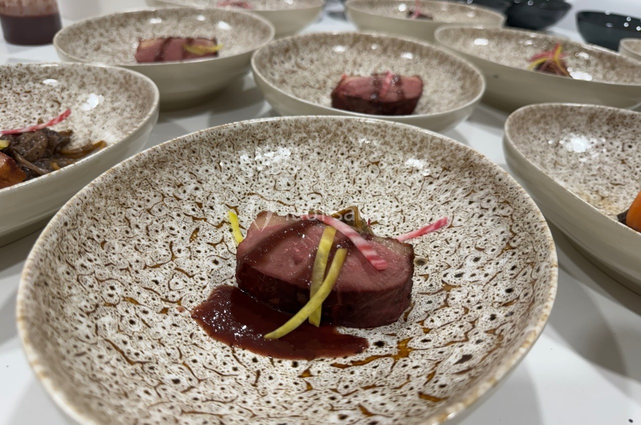 Assiette contenant un morceau de viande nappé de sauce, accompagné de fines lamelles de légumes colorés.