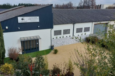Des invités se servent des amuse-bouches sur des plateaux tenus par une serveuse lors d'un événement convivial.