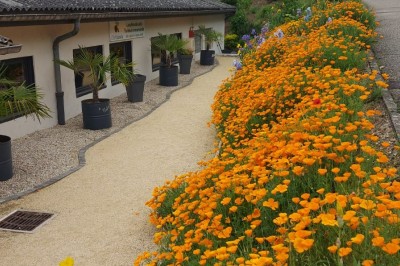 Des invités se servent des amuse-bouches sur des plateaux tenus par une serveuse lors d'un événement convivial.