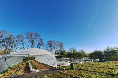 Chambre avec deux lits superposés en bois, fenêtres avec stores bleus et murs blancs.