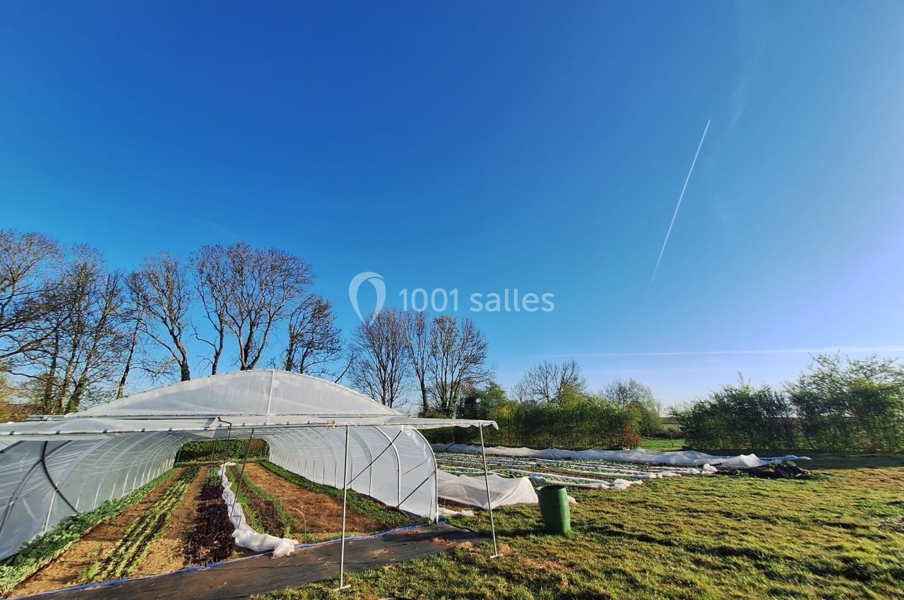 Serre agricole avec cultures en rangées, entourée de verdure et d'arbres sous un ciel dégagé.