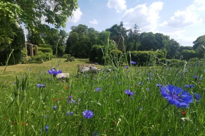 Chambre avec deux lits superposés en bois, fenêtres avec stores bleus et murs blancs.