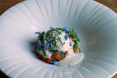 Location salle La Ville-aux-Clercs (Loir-et-Cher) - Repère Sauvage #39