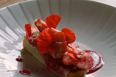 Location salle La Ville-aux-Clercs (Loir-et-Cher) - Repère Sauvage #39