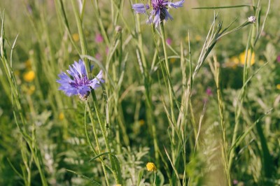 Location salle La Ville-aux-Clercs (Loir-et-Cher) - Repère Sauvage #39