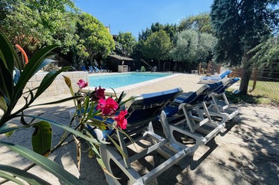Piscine extérieure avec bassin principal et pataugeoire, entourée de chaises longues et d'arbres.