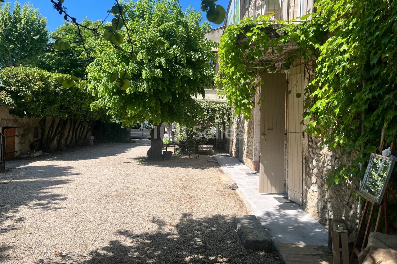 Cour extérieure en gravier ombragée par de grands arbres, bordée d'une façade en pierre couverte de vigne vierge et de portes en bois clair.