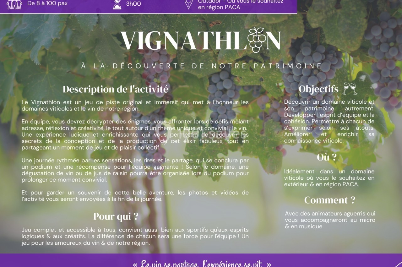 Des grappes de raisin sur une vigne avec un texte décrivant une activité œnologique en région PACA.