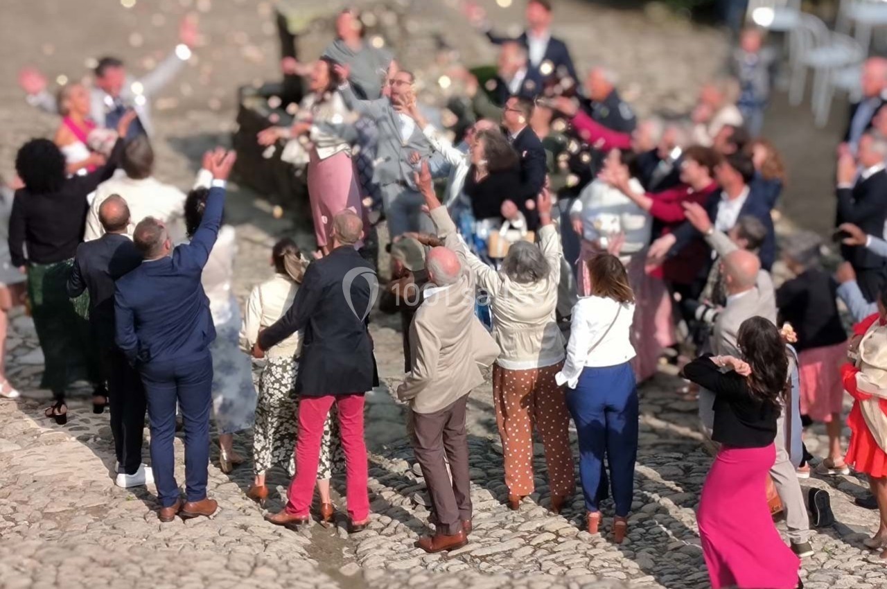 Groupe de personnes élégamment vêtues lançant des pétales en l'air lors d'une célébration en extérieur sur un sol pavé.