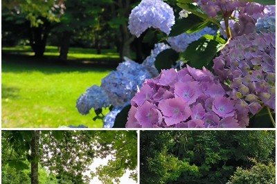 Vue aérienne d'un manoir en pierre entouré de champs et de végétation, avec un village et la mer à l'horizon.