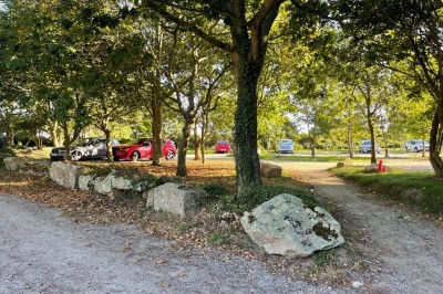 1. Vue sur une côte rocheuse avec la mer bleue en arrière-plan. 2. Jument et son poulain debout dans un pré verdoyant. 3…