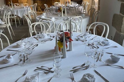 1. Vue sur une côte rocheuse avec la mer bleue en arrière-plan. 2. Jument et son poulain debout dans un pré verdoyant. 3…