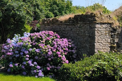 1. Vue sur une côte rocheuse avec la mer bleue en arrière-plan. 2. Jument et son poulain debout dans un pré verdoyant. 3…