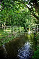 Location salle Tessancourt-sur-Aubette (Yvelines) - Le Clos De L'hermitage #4