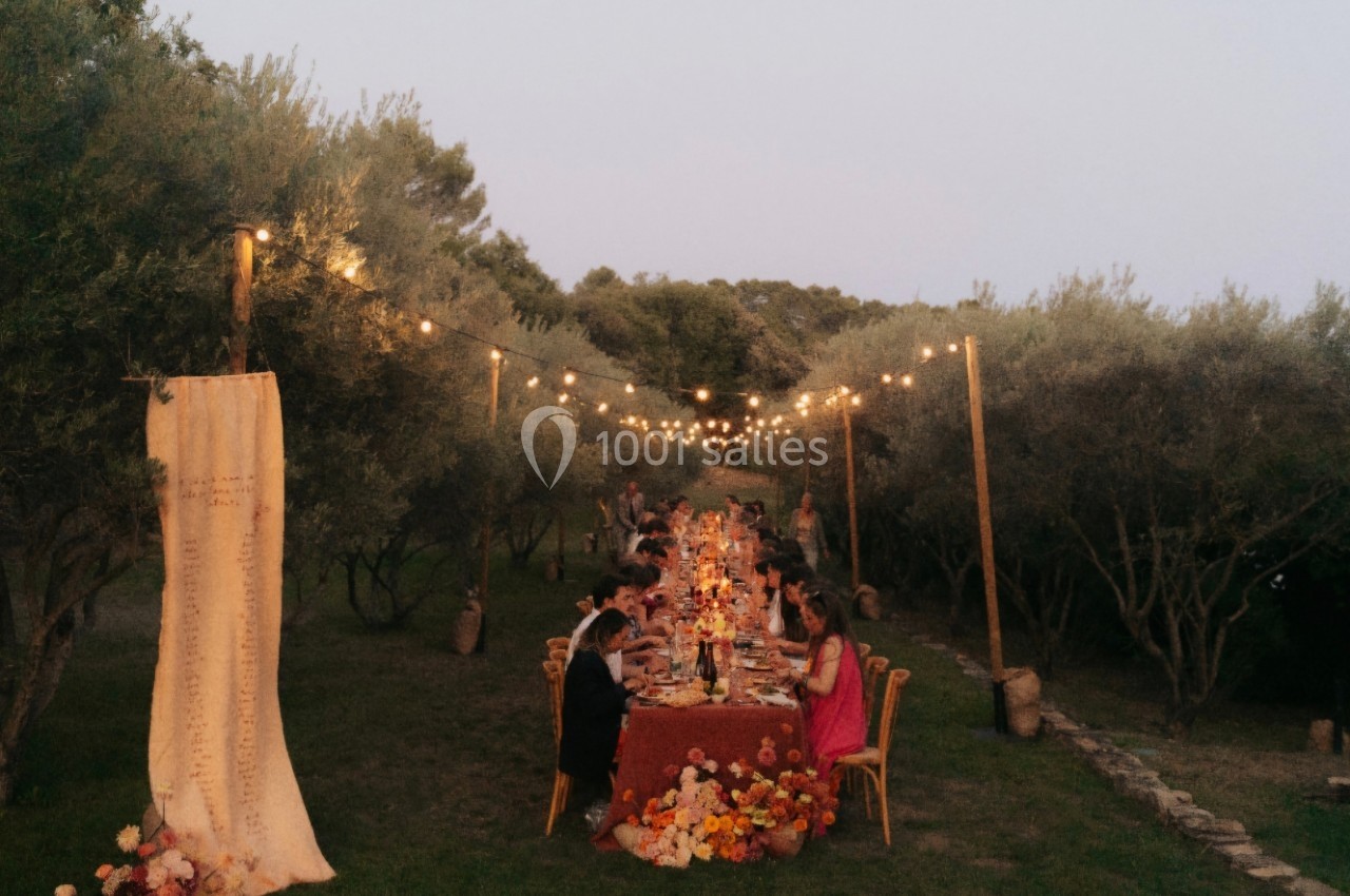 Dîner en plein air sous des guirlandes lumineuses, avec une longue table décorée de fleurs au milieu d'un jardin d'oliviers.