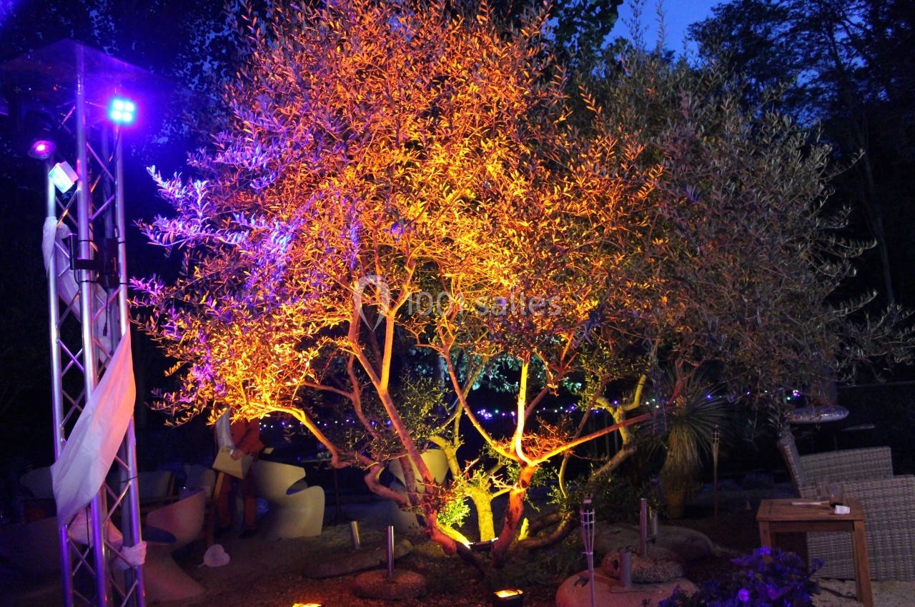 Arbre illuminé par des lumières jaunes et violettes dans un jardin en soirée, avec des meubles de jardin en arrière-plan.