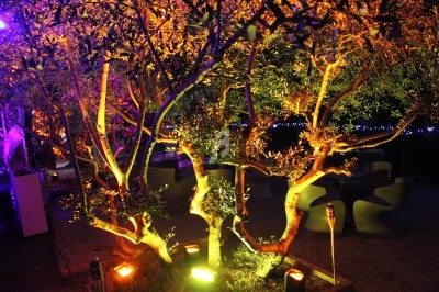 Arbres illuminés par des lumières colorées dans un espace extérieur, avec des sièges visibles en arrière-plan.