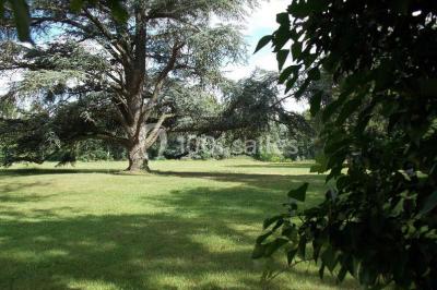 Location salle Griselles (Loiret) - Château de la Fontaine #22