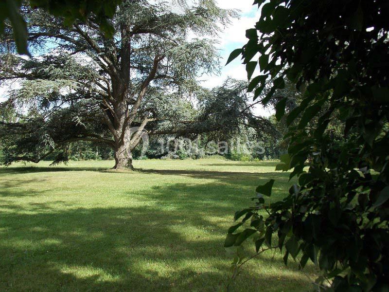 Location salle Griselles (Loiret) - Château de la Fontaine #22