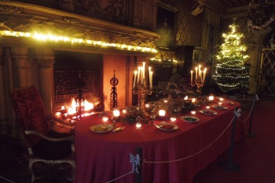 Location salle Ormes (Vienne) - Château des Ormes #7