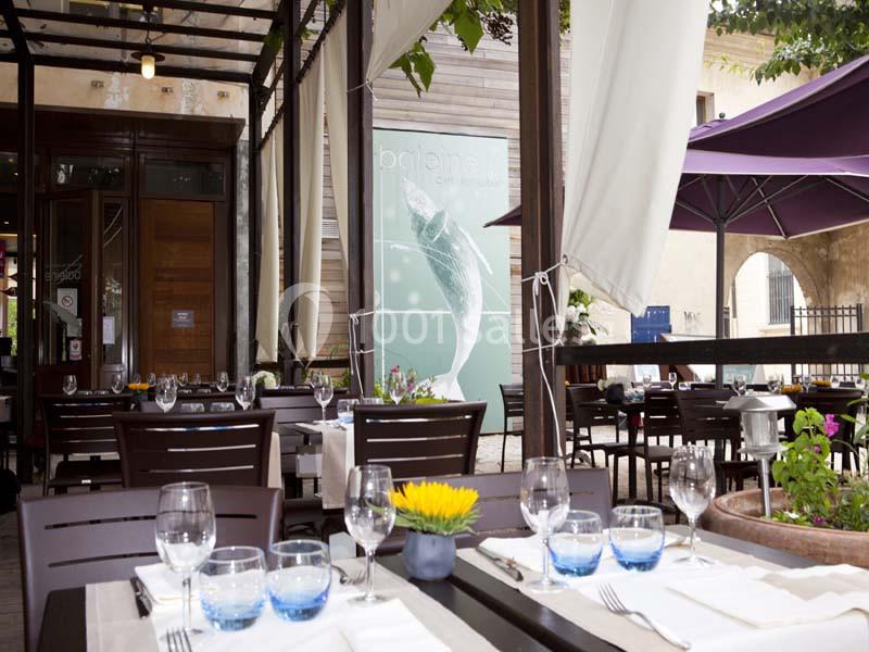 Location salle Paris 5 (Paris) - Jardin Des Plantes – La Baleine #4