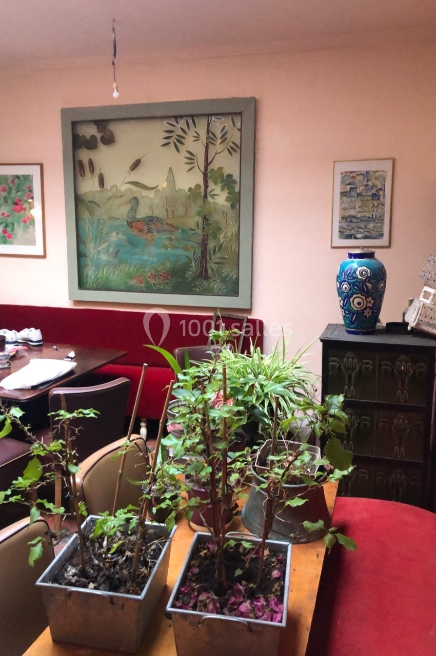 Plantes en pots sur une table en bois dans une pièce avec des banquettes rouges et des tableaux accrochés aux murs.