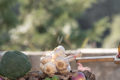 Logo ’OFYR’ gravé sur une surface métallique sombre et texturée.