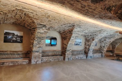 Maison en pierre traditionnelle avec toit en lauze, entourée d'une cour pavée et d'arbres dénudés en hiver.