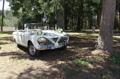 Location salle Andelaroche (Allier) - Domaine du Côté de Chez Sam #54