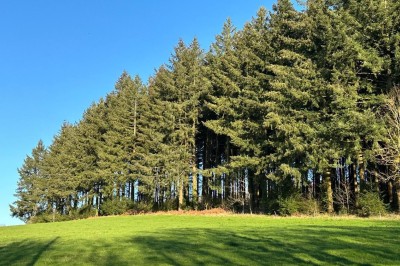 Location salle Andelaroche (Allier) - Domaine du Côté de Chez Sam #54