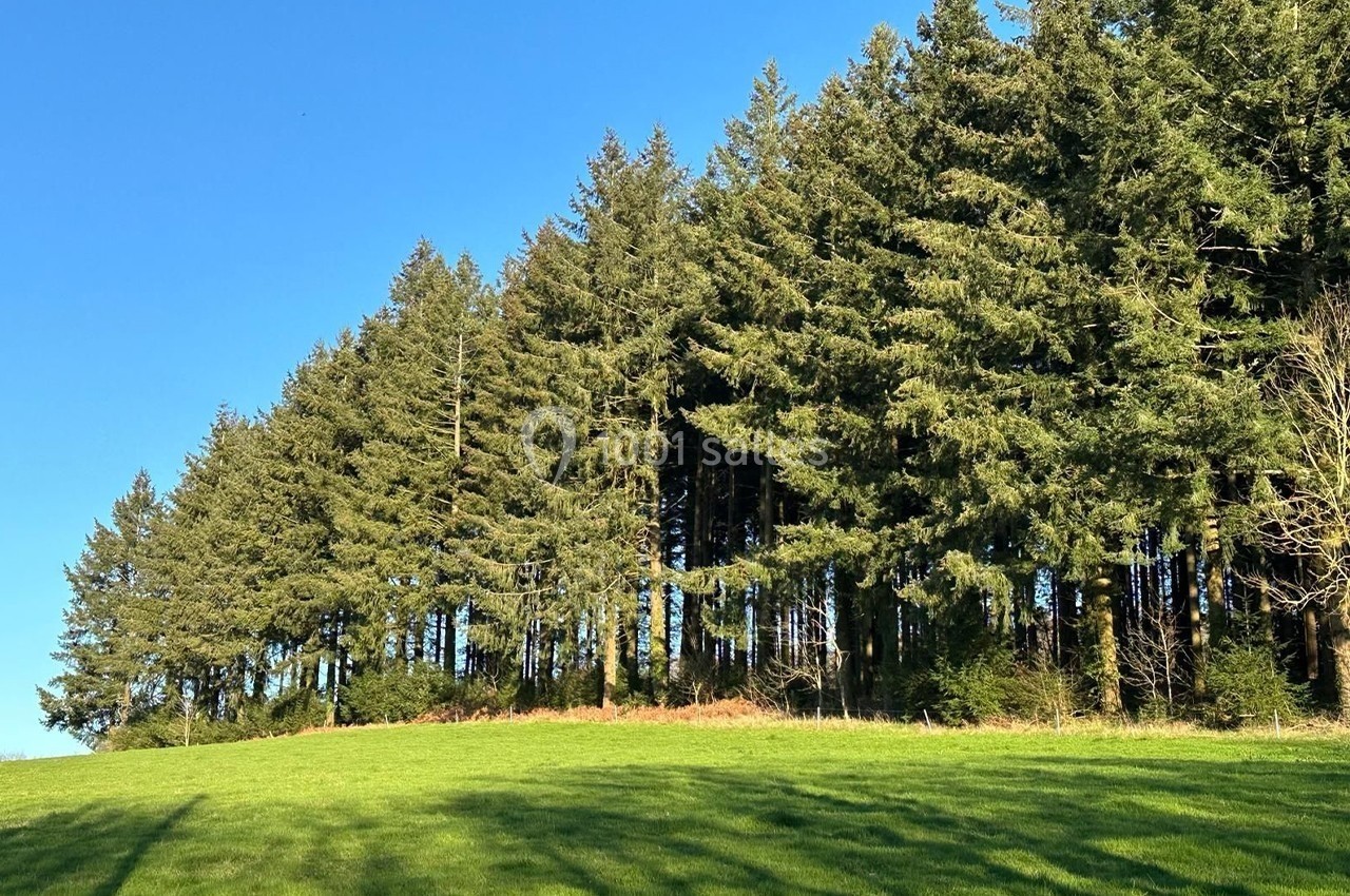 Location salle Andelaroche (Allier) - Domaine du Côté de Chez Sam #21