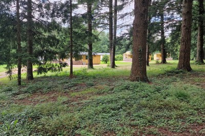 Miniature Location salle Andelaroche (Allier) - Domaine du Côté de Chez Sam #36 Location salle Andelaroche (Allier) - Domaine du Côté de Chez Sam #36