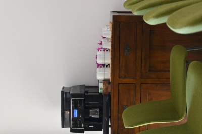 Allée bordée de haies fleuries et de palmiers, menant à une maison sous un ciel bleu.